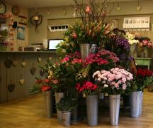 Как открыть цветочный бизнес поэтапно, с чего начать и на что обратить внимание Как правильно открыть цветочный бизнес